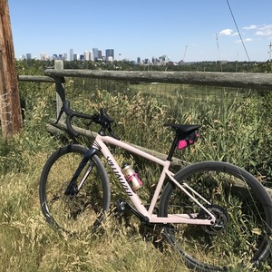2021 Specialized Diverge Comp E5 Pink