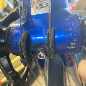 Trek Blue