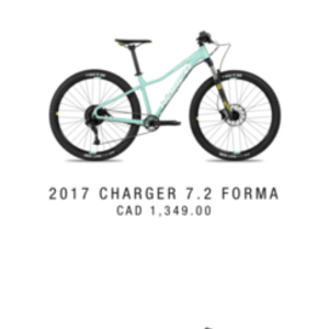2017 Norco Bikes 17WM chargerxxs/te Teal