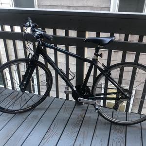 Trek FX2 Black