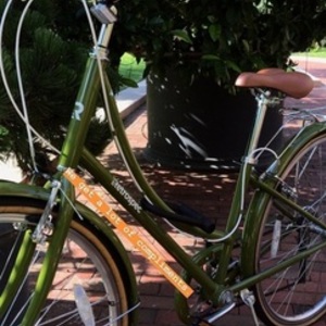 2019 Retrospec Step-Thru Steel Frame Green