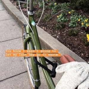 2019 Retrospec Step-Thru Steel Frame Green