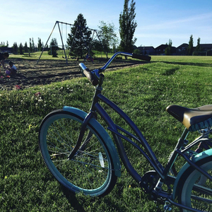2016 Schwinn Silver, gray or bare metal