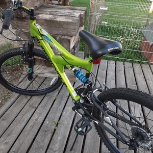 2019 Supercycle DJKK Green