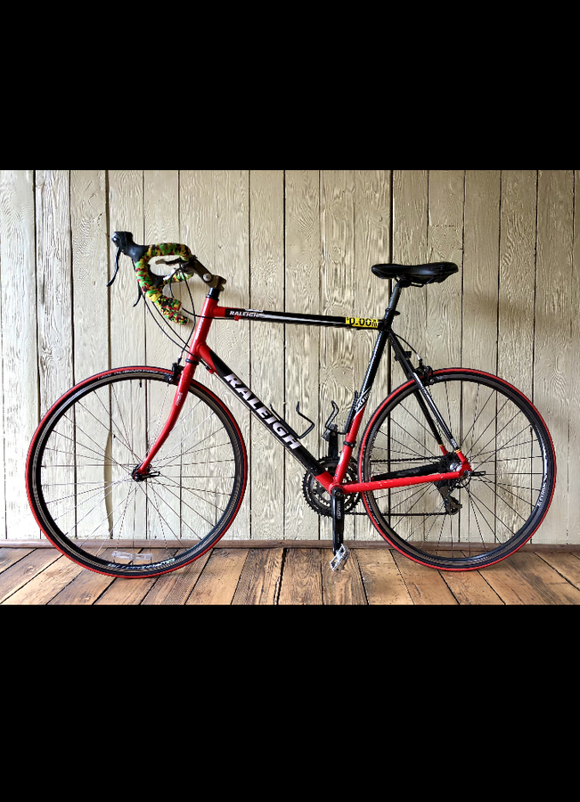 2008 Raleigh Sport