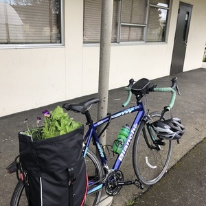 2009 Bianchi C2C Via Nirone Blue