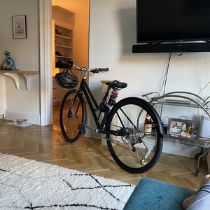 2020 Roll Bicycle Company Step-Through. Green with Silver compo... Green and Silver, gray or bare...