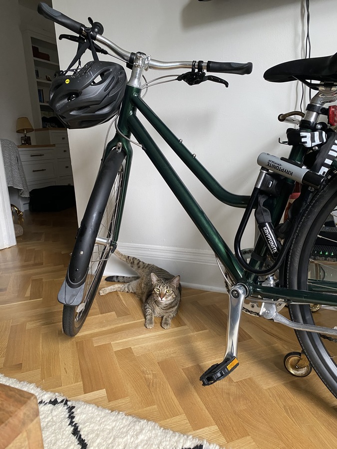Bike photo