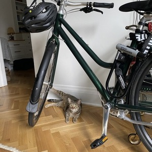2020 Roll Bicycle Company Step-Through. Green with Silver compo... Green and Silver, gray or bare...