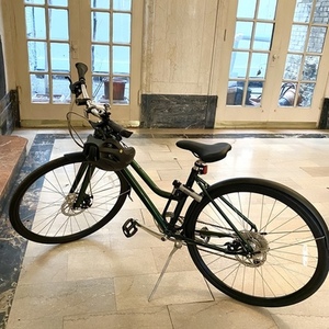 2020 Roll Bicycle Company Step-Through. Green with Silver compo... Green and Silver, gray or bare...