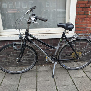 Gazelle Cayo Track &amp; Trail Silver, gray or bare metal