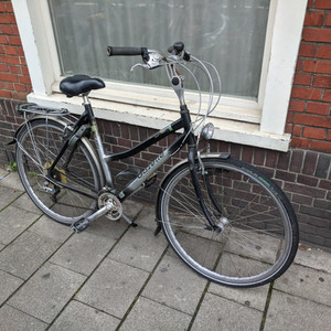 Gazelle Cayo Track &amp; Trail Silver, gray or bare metal