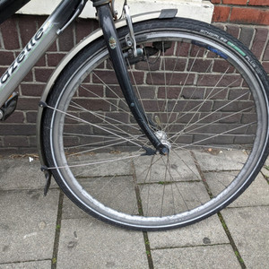 Gazelle Cayo Track &amp; Trail Silver, gray or bare metal