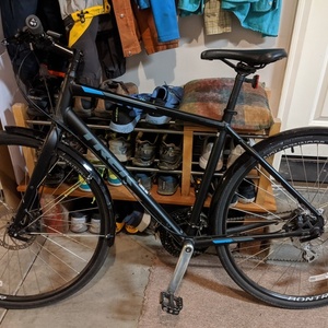 Trek FX2 Black