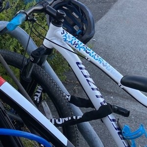 2015 Specialized Jynx White