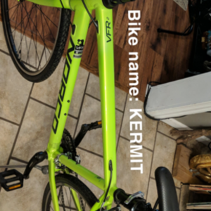 2020 Norco Bikes VFR2 Green