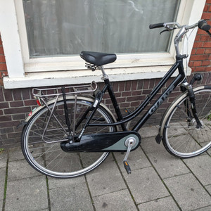 Giant Brisbane Black