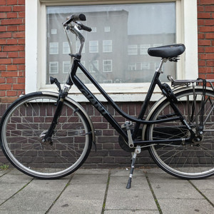 Giant Brisbane Black