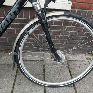 Giant Brisbane Black