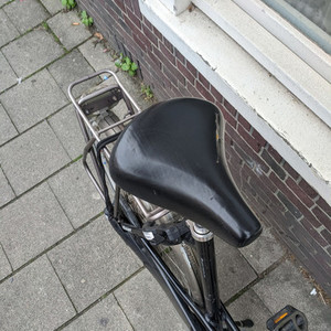 Giant Brisbane Black