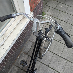 Giant Brisbane Black