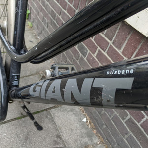 Giant Brisbane Black