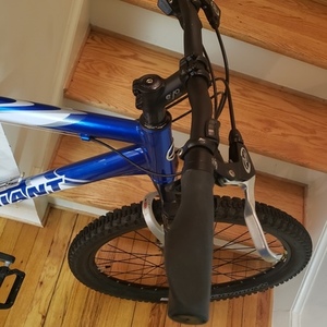 2003 Giant Ranier Blue, White, and Silver, gray or bare metal