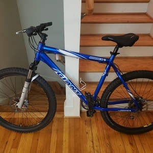 2003 Giant Ranier Blue, White, and Silver, gray or bare metal