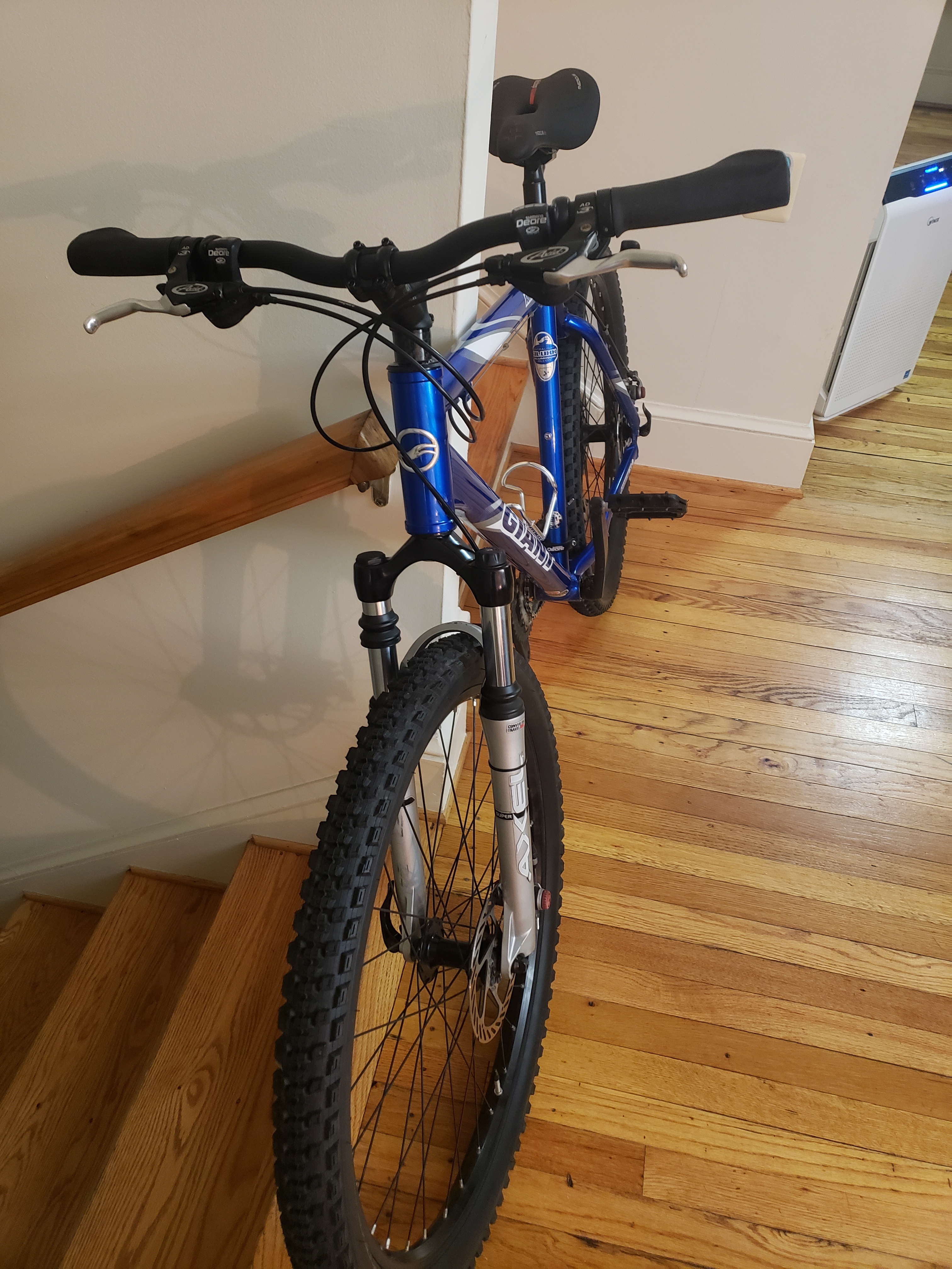 2003 Giant Ranier