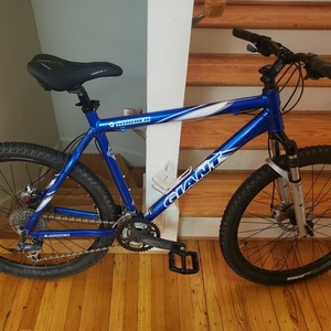 2003 Giant Ranier Blue, White, and Silver, gray or bare metal