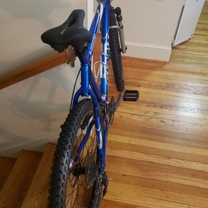 2003 Giant Ranier Blue, White, and Silver, gray or bare metal