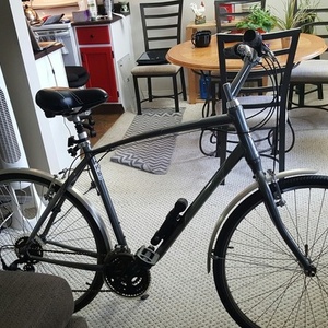 1991 Giant Silver, gray or bare metal