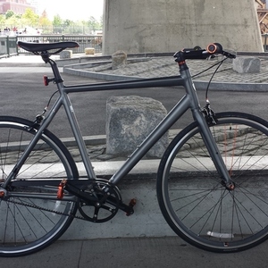 2013 Trek District Silver or Gray