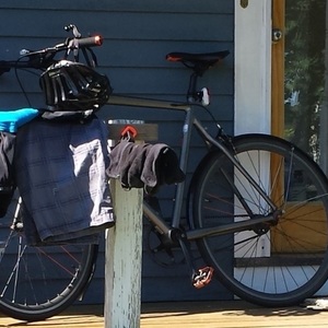 2013 Trek District Silver or Gray