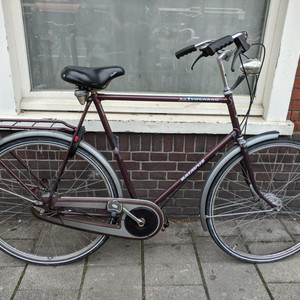 Batavus Locarno Brown