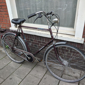 Batavus Locarno Brown