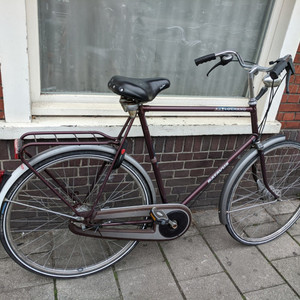 Batavus Locarno Brown