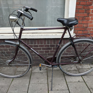 Batavus Locarno Brown