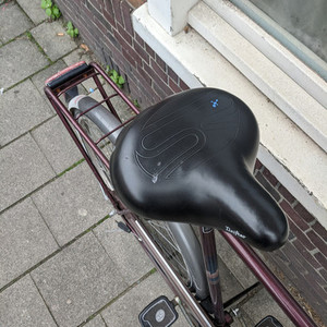 Batavus Locarno Brown