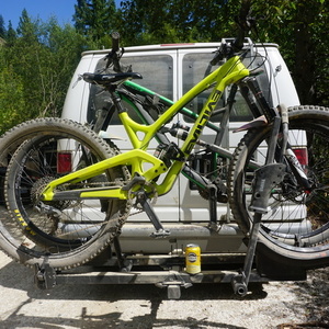 2016 Evil Insurgent Yellow or Gold