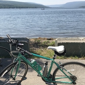 2014 Trek 7.2 FX Green