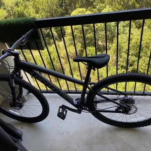 2021 Specialized Rockhopper Sport Silver, gray or bare metal and Black