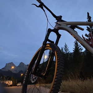 2020 Giant Trance Yellow or Gold