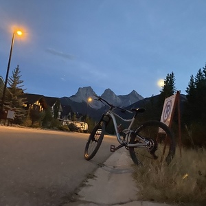2020 Giant Trance Yellow or Gold