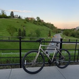 Trek Silver, gray or bare metal