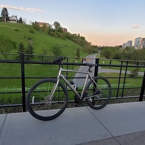 Trek Silver, gray or bare metal