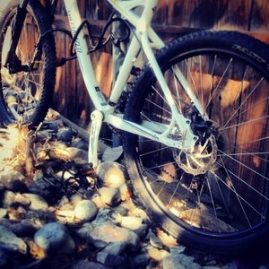 2012 Specialized Myka Sport Disc White