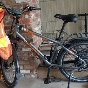 2019 Rad Power Bikes RadCity Silver, gray or bare metal