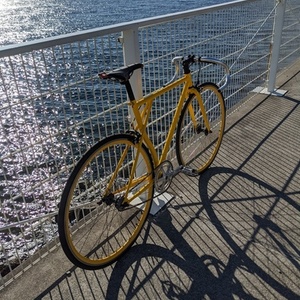 Independent Fabrication Independent fabrication Yellow or Gold