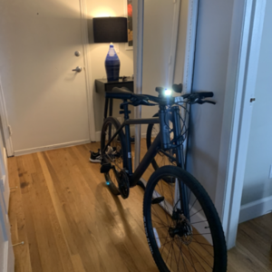 2020 Cannondale Bad Boy 3 Bike - 2020 Black